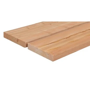 Kanadische Douglasie BDS