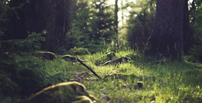 Wir tragen Verantwortung für morgen