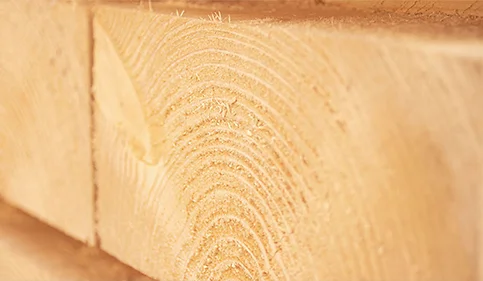 Vorteile von Holz als Werkstoff