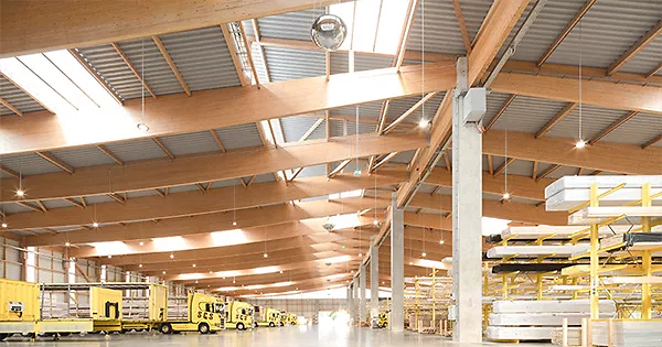 verbautes_holz_hallengebaude