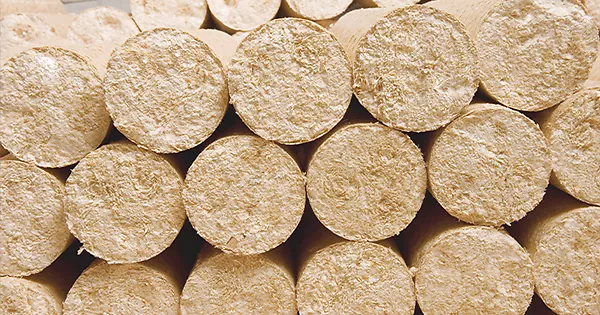 scs-bio-holzbriketts